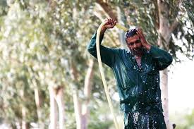 -کارگر-شرجی.jpg